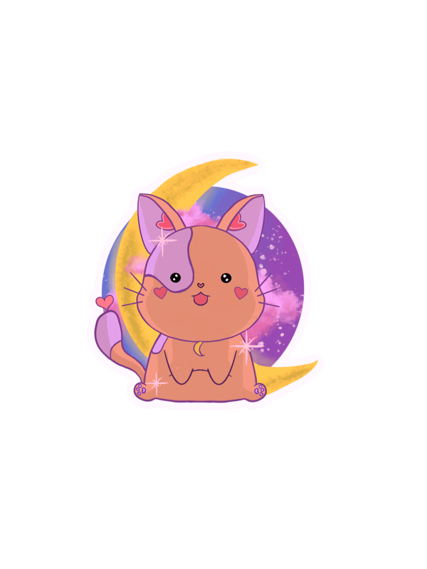 Image of cosmo cat!