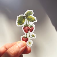 Image 1 of strawberry sticker