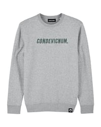 Image 1 of Sweatshirt "Condevicnum" gris