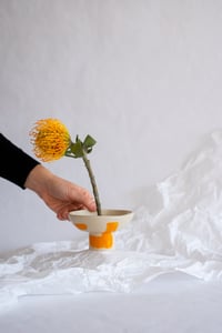 Image 4 of Bol para flores