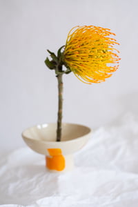 Image 5 of Bol para flores