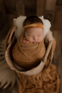 Image of 2024 Studio Newborn Session Special 