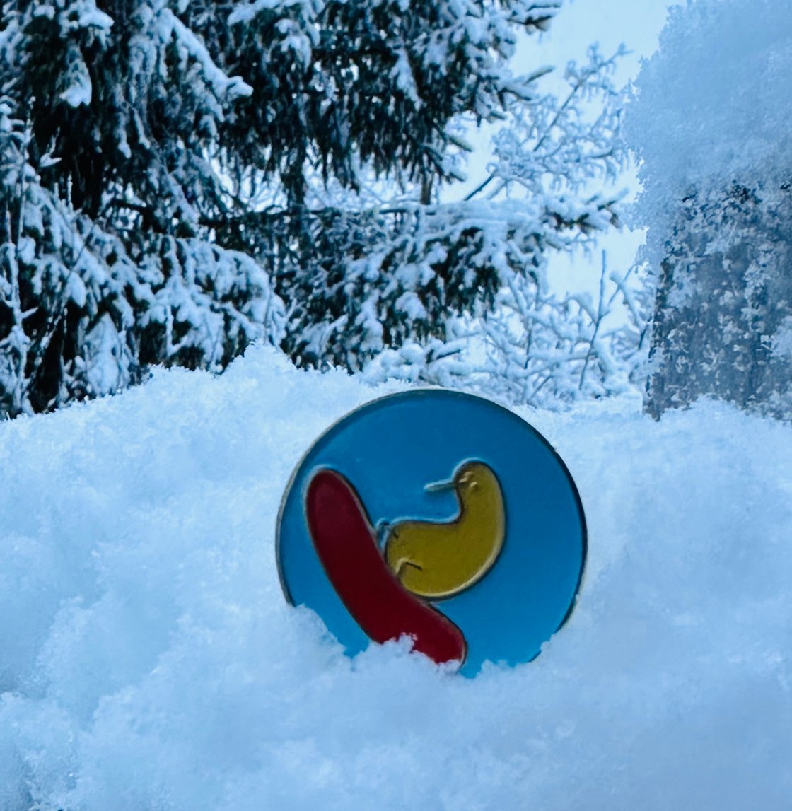 Image of Snowboard kiwi metal pin
