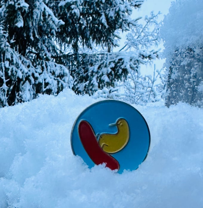 Image of Snowboard kiwi metal pin