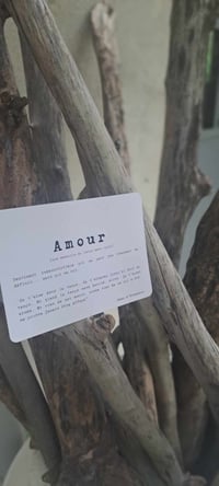 Image 5 of AMOUR