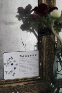 Image 1 of DOUCEUR