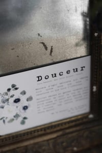 Image 5 of DOUCEUR