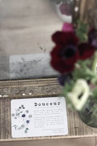 Image 3 of DOUCEUR