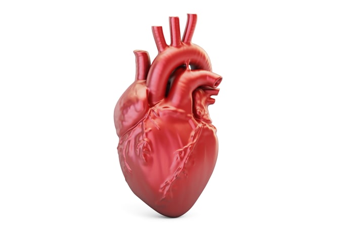 Image of HEALING A HEART