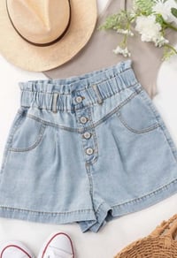 Hoochie Demi shorts 