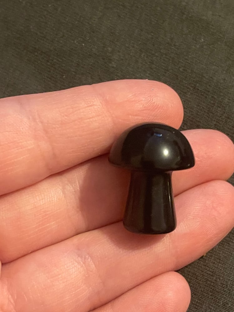 Image of Black obsidian mushroom 