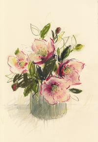 Jar of hellebores no 2