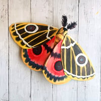 Image 2 of Paper Moth Workshop
