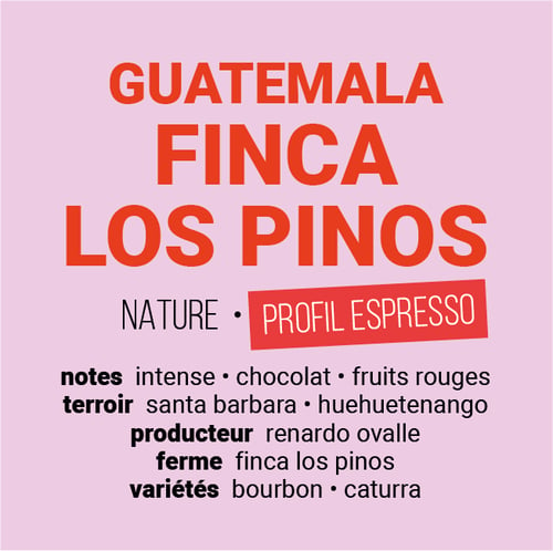 Image of Finca Los Pinos - Guatemala | ESPRESSO