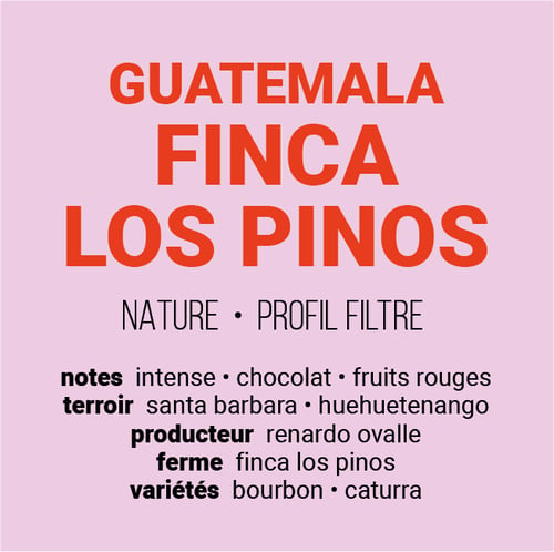 Image of Finca Los Pinos - Guatemala | FILTRE