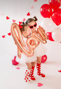 Image 2 of Valentines Day Minis 2024