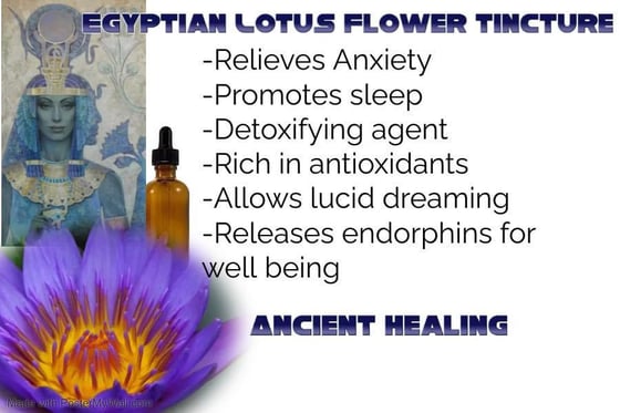 Image of Egyptian Lotus Flower Tincture (Organic)