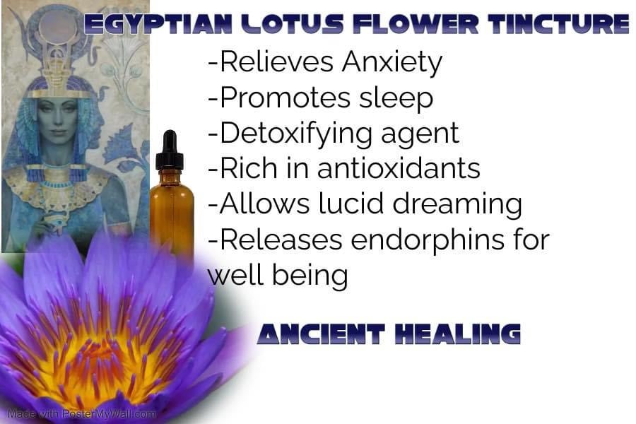 Image of Egyptian Lotus Flower Tincture (Organic)