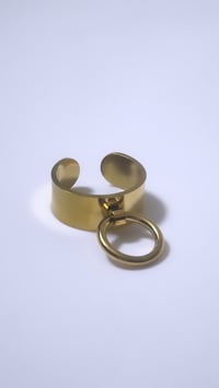 Image 1 of SHOLAN