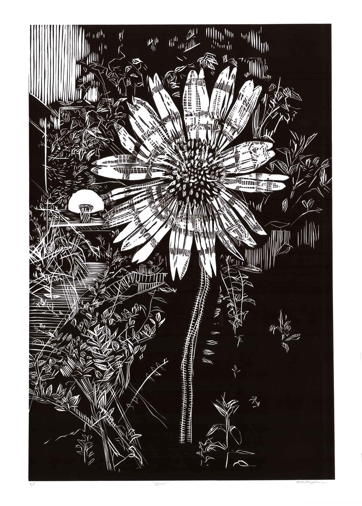BB Coloring Page / Print michellestevensart