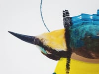 Image 2 of Bee Eater (Vivid Imagination)