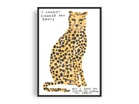 Image 1 of David Shrigley - I Cannot Change my Spots, Giclee Print, Poster