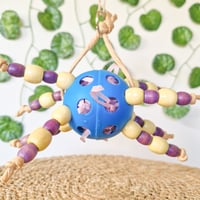 Image 1 of Octopus Foraging Foot Toy