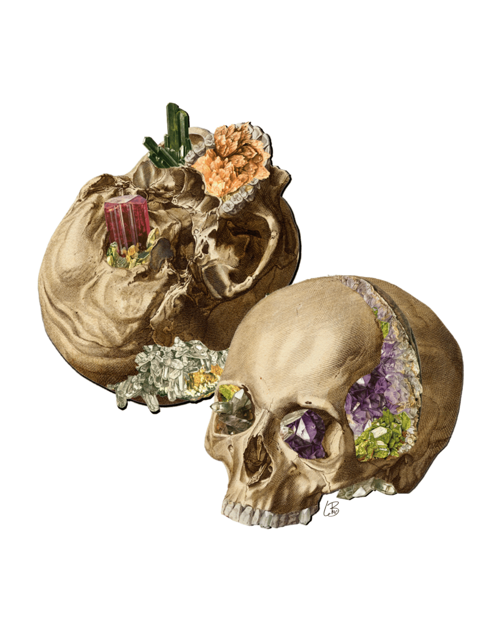 Crystal Cranium Poster Print