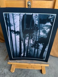 Image 2 of "In the Shadows" Fine Art Print 