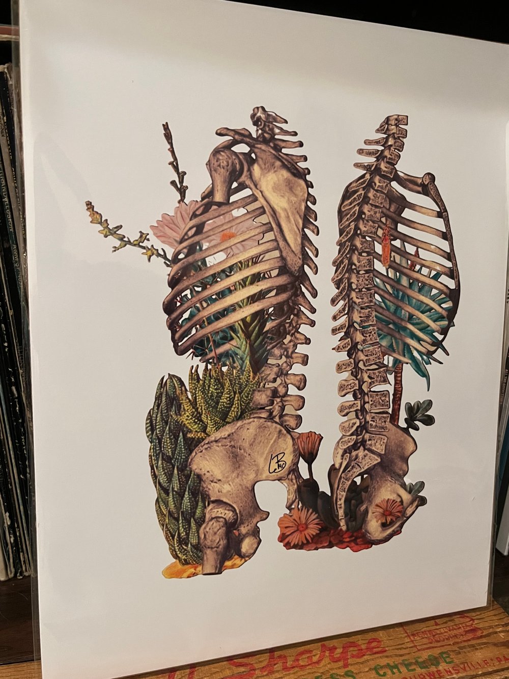 Dehydration Poster Print
