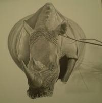 Image 2 of White Rhino - Open Edition Fine Art Print - 8" x 10"