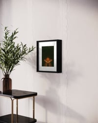 Image 2 of Light Up pt. II Photo Prints & Canvases (Various Sizes)