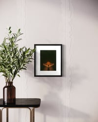 Image 3 of Light Up pt. II Photo Prints & Canvases (Various Sizes)