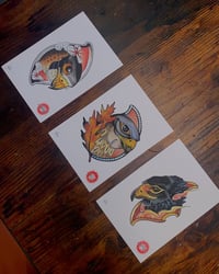 BIRD SET