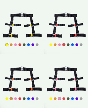 Image of CUSTOM LEG HARNESS V.2 - BLACK + ALL COLORS