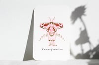 Image 2 of Cartas Magistério I 1/2
