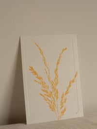 Image 2 of Grass Print 3 - Original Botanical Monoprint - A5 - Orange 