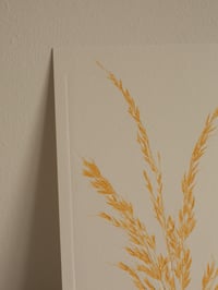 Image 3 of Grass Print 3 - Original Botanical Monoprint - A5 - Orange 