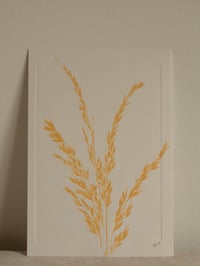 Image 1 of Grass Print 3 - Original Botanical Monoprint - A5 - Orange 