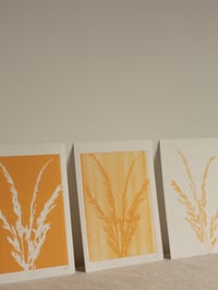 Image 4 of Grass Print 3 - Original Botanical Monoprint - A5 - Orange 