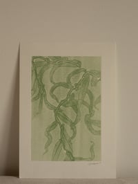 Image 1 of Willow 2 - Original Botanical Monoprint - A5 - Green 
