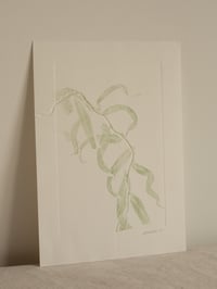 Image 1 of Willow 3 - Original Botanical Monoprint - A4 - Green