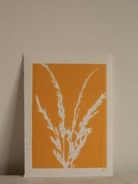 Image 1 of Grass Print 1 - Original Botanical Monoprint - A5- Orange