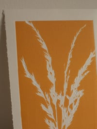 Image 2 of Grass Print 1 - Original Botanical Monoprint - A5- Orange