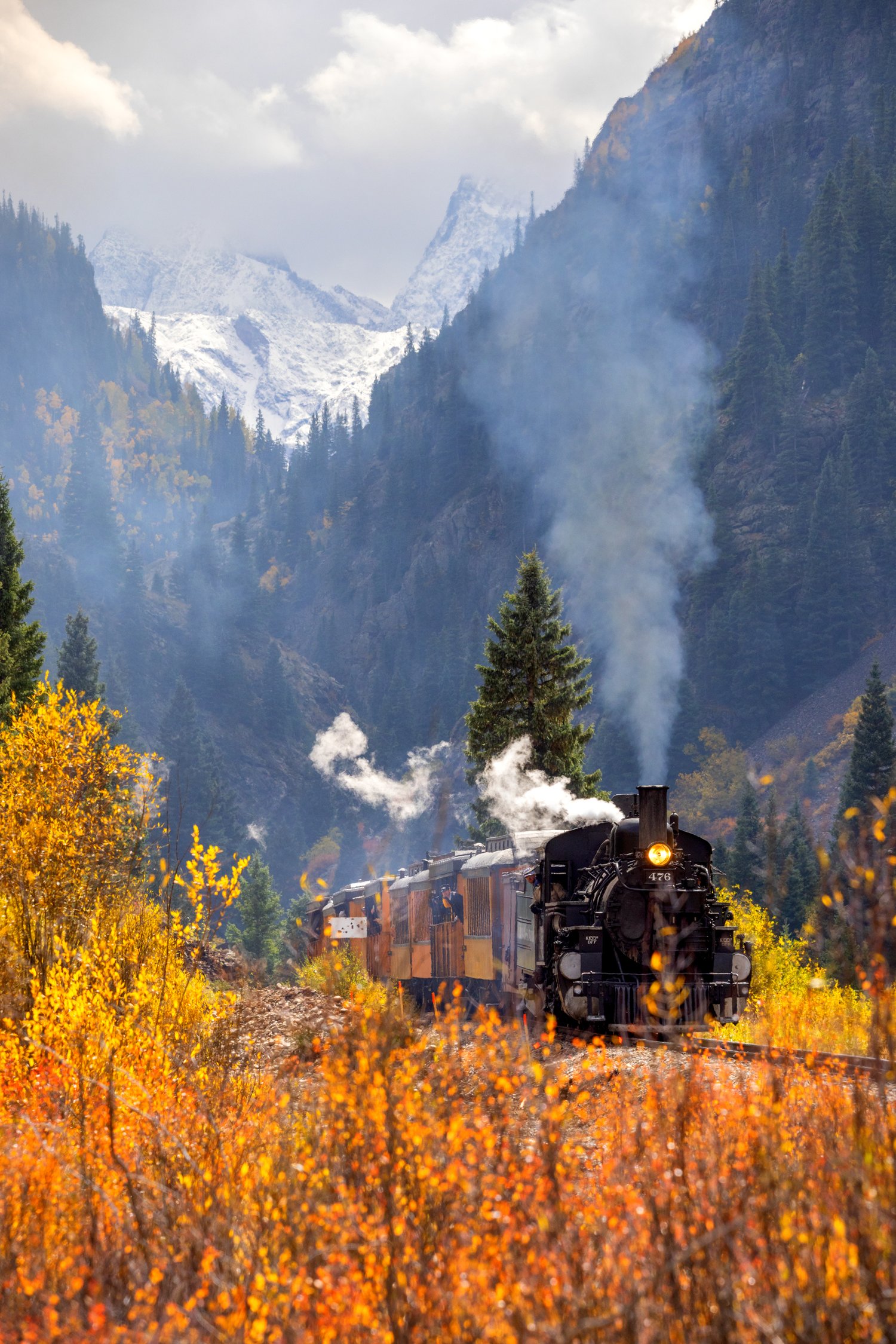 Image of Autumn Train