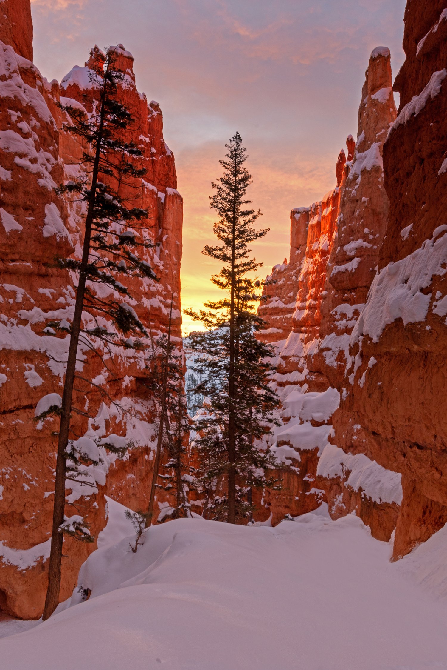 Image of Bryce Wonderland