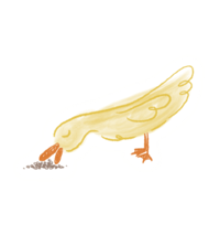 Image 4 of Duck Sticker