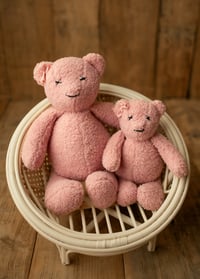 Image 1 of TEDDY - PINK COLOR