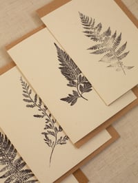 Image 2 of Fern Greeting Cards - Pack of 4 - Recycled A6. Ivory. 