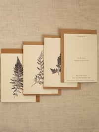 Image 3 of Fern Greeting Cards - Pack of 4 - Recycled A6. Ivory. 